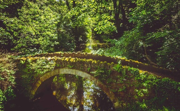 Jesmond Dene, Newcastle Upon Tyne